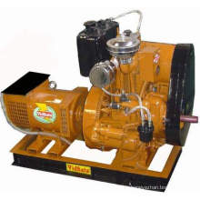 Petter Typ Diesel Generator